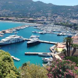 Calvi