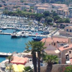 Calvi