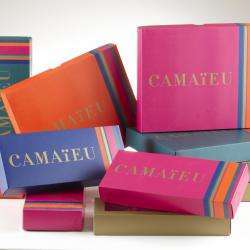 Camaieu International
