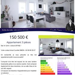 Camille Simon - Robin Des Toits - Agence Immobilière Solidaire