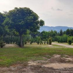 Camping-car Park