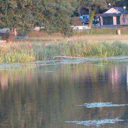 Camping De L'ile Aux Pies