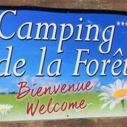 Camping De La Forêt