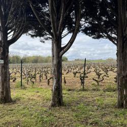 Camping De Santenay - Onlycamp