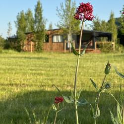 Camping Dordogne Les Cinq Châteaux