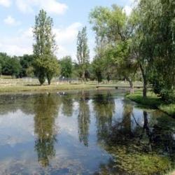 Camping Du Lac De Parisot **