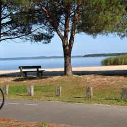 Camping En Chon Les Pins