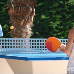 Camping Homair - Domaine De La Marina