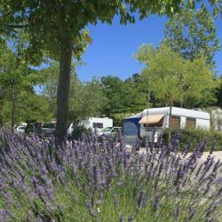 Camping La Pinède - 3 étoiles