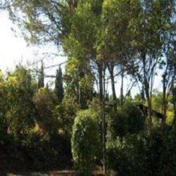 Camping La Pinede