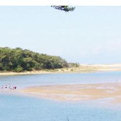 Camping Les Dunes
