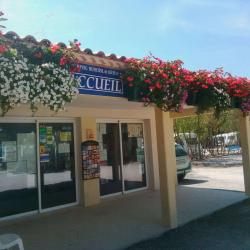Camping Municipal De Loupian - 3 étoiles