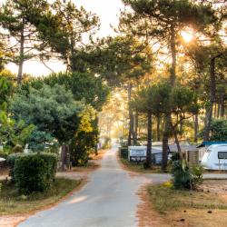 Camping Naturiste Chm Montalivet