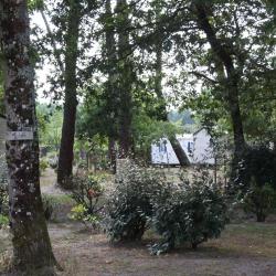 Camping Parc Du Bel Air