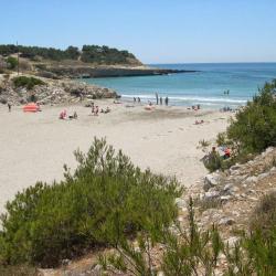 Camping Pascalounet