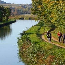 Canal Latéral à La Loire