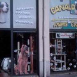 Canaldog