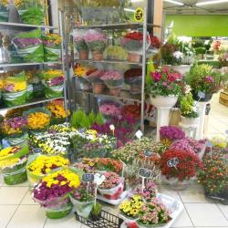 Candice Fleurs