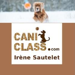 Cani Class Education Et Comportement