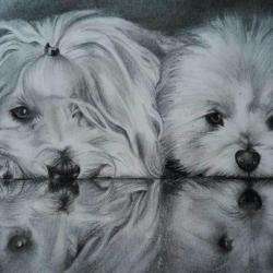 Cani'look