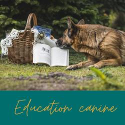 Canid Harmonie