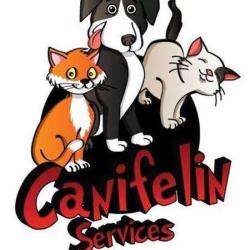 Canifelin Services