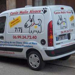 Canin Malin Alsace