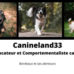 Canineland33