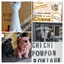 Chichi - Pompon