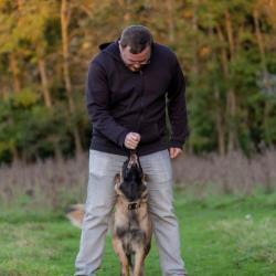 Canisaved, éducateur Comportementaliste Canin à Metz
