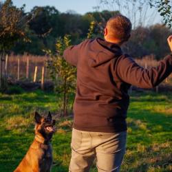 Canisaved, éducateur Comportementaliste Canin à Metz
