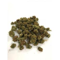 Canna Elite Europe