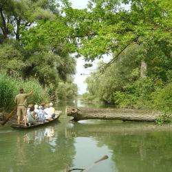 Canoes Du Ried
