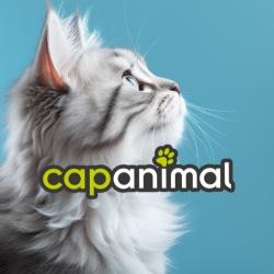 Cap Animal Decize