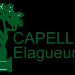 Capello, élagueur Dans Le 72