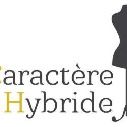 Caractère Hybride
