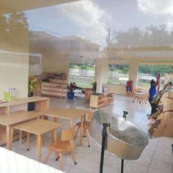 Caribbean Montessori School (cms)