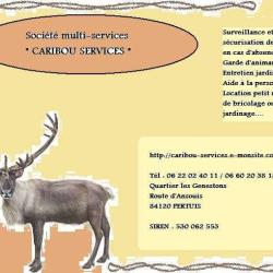 Caribou-services