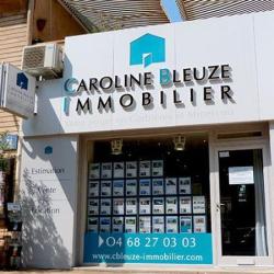 Caroline Bleuze Immobilier