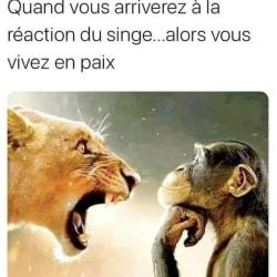 Caroline Dubois Hypnothérapeute Adultes/enfants - Hypnonatal - Thérapie Par Jeu De Sable