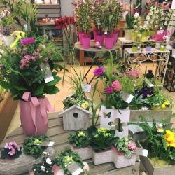 Caron Fleurs