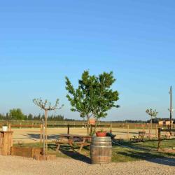 Carpe Diem Centre Equestre
