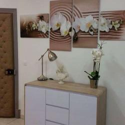 Carpinteiro Marine