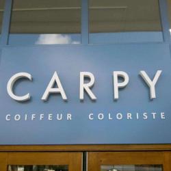 Carpy Coiffeur Coloriste