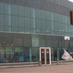 Centre Commercial Carrefour Vénissieux