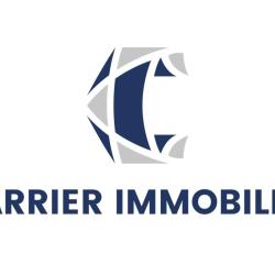 Carrier Immobilier