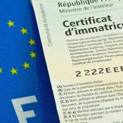 Carte Grise Express 31