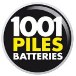 Cartouches 74 - 1001 Piles Batteries