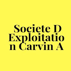 Carvin-alène-santi