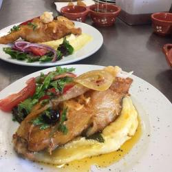 Casa & Natas